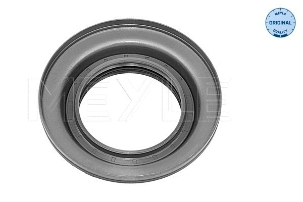 Shaft Seal, differential
