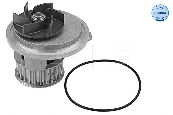 Water Pump, engine cooling (613 220 0011)