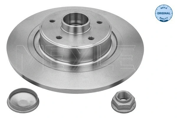 Brake Disc (16-15 523 4120)