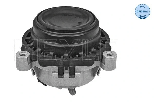 Mounting, engine (300 221 2120)