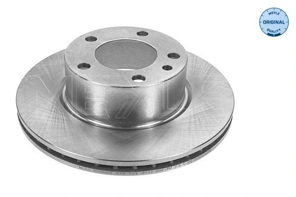 Brake Disc (315 521 3004)