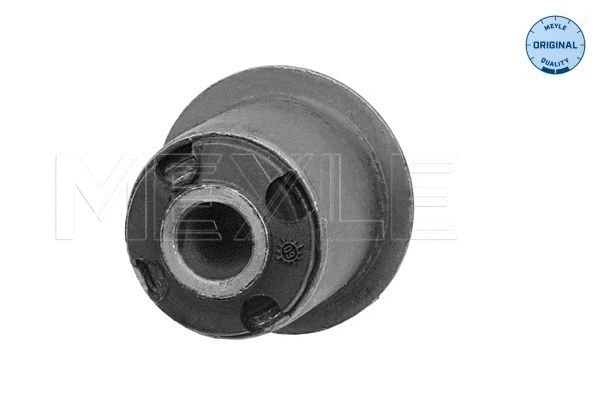 Mounting, control/trailing arm