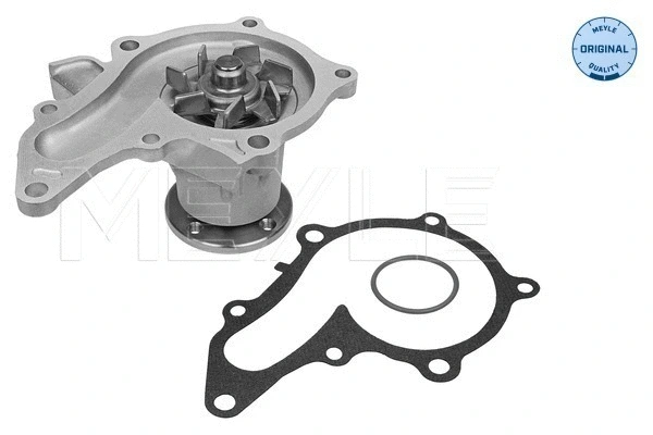 Water Pump, engine cooling (30-13 161 0011)