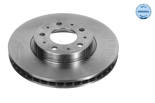 Brake Disc (515 521 5012)