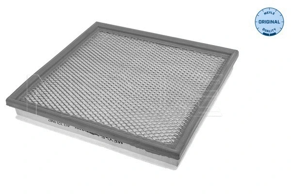 Air Filter (612 321 0007)