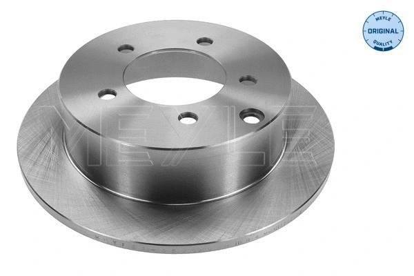 Brake Disc (32-15 523 0008)