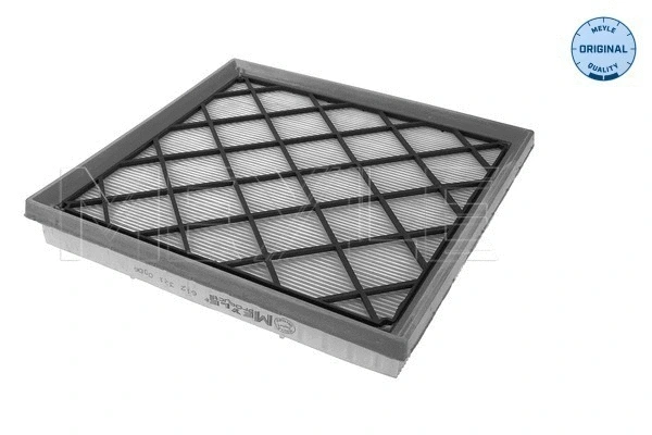 Air Filter (612 321 0006)