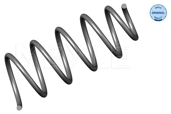 Suspension Spring (100 639 0001)
