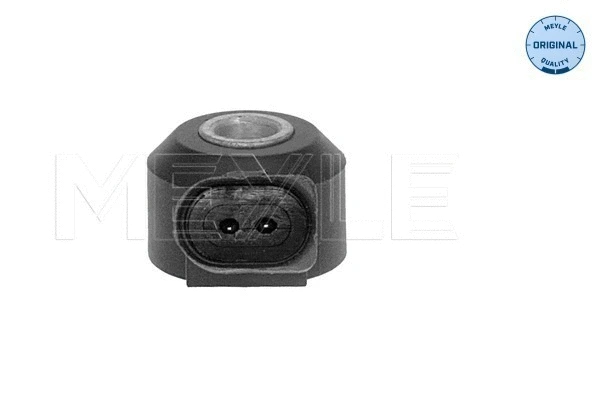Knock Sensor