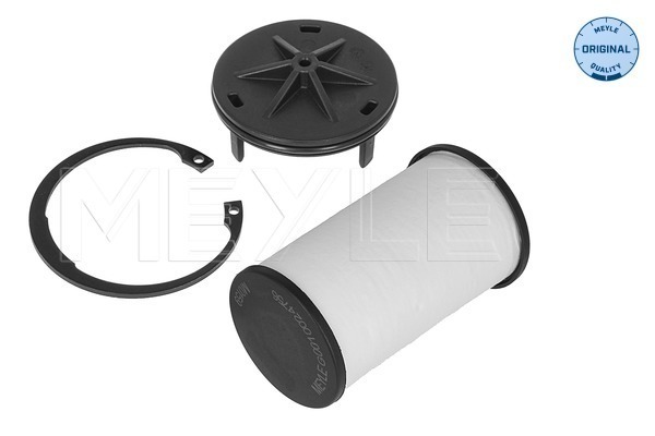 Hydraulic Filter, automatic transmission (300 136 0302)