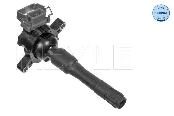 Ignition Coil (314 131 0000)
