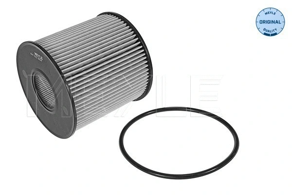 Oil Filter (614 322 0014)