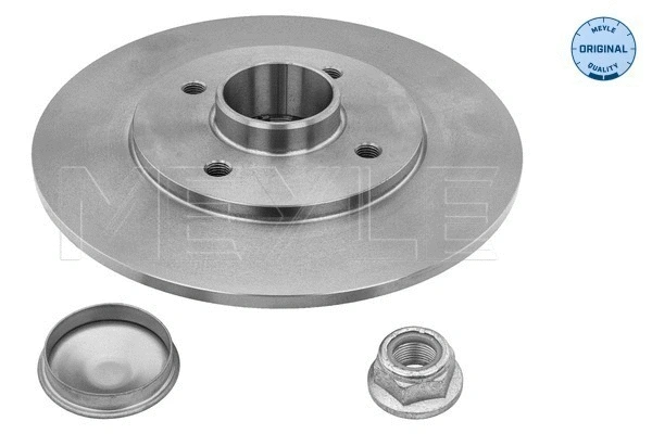 Brake Disc (16-15 523 4105)