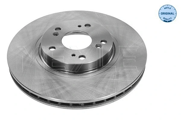 Brake Disc (31-15 521 0051)