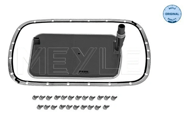 Hydraulic Filter Kit, automatic transmission (314 137 0003/S)