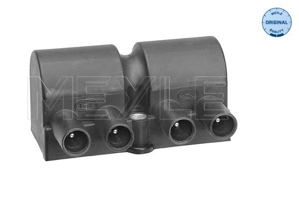 Ignition Coil (614 885 0008)