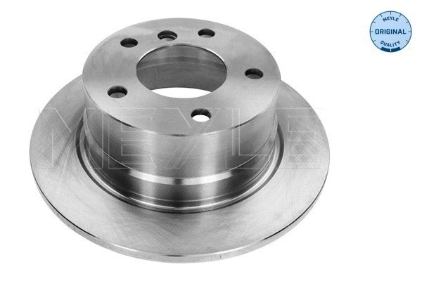 Brake Disc (315 523 3058)