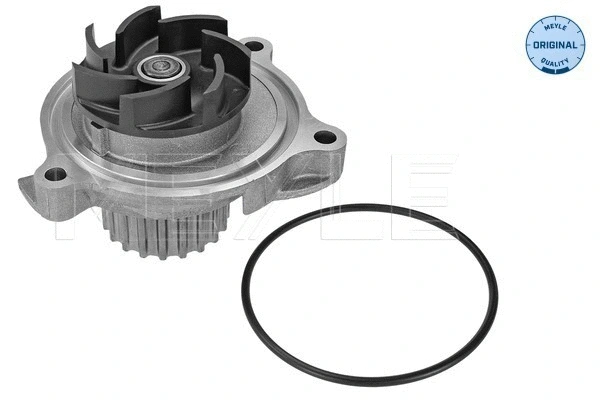 Water Pump, engine cooling (113 220 0022)