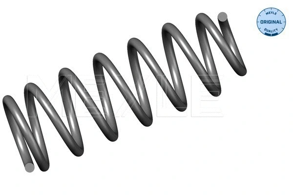 Suspension Spring (11-14 739 0000)