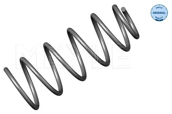 Suspension Spring (100 639 0022)