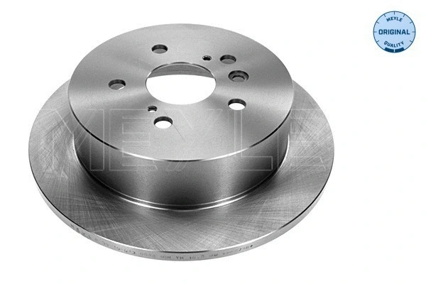 Brake Disc (30-15 523 0084)