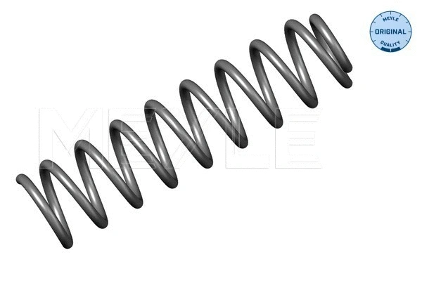 Suspension Spring (014 639 0002)