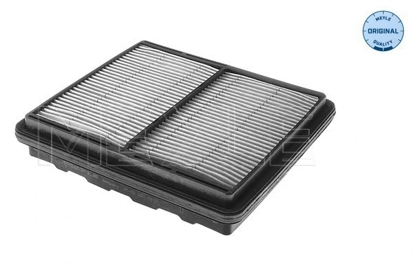 Air Filter (31-12 321 0019)