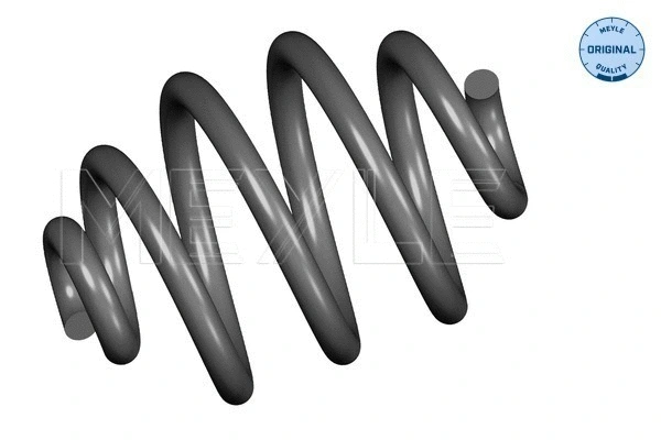 Suspension Spring (100 739 0052)