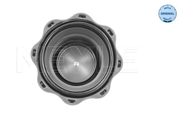 Cap, coolant tank