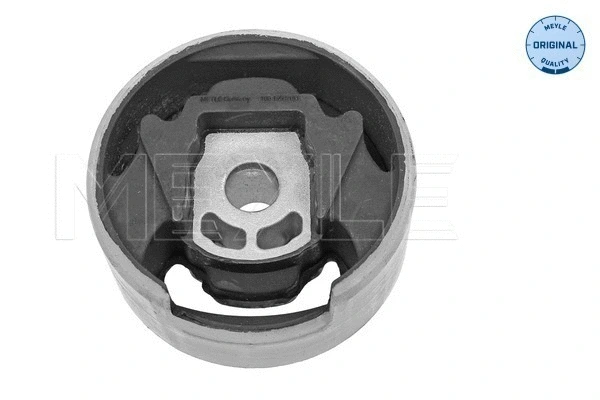 Mounting, engine (100 199 0161)