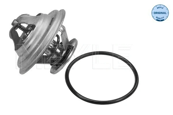 Thermostat, coolant (028 292 0009)