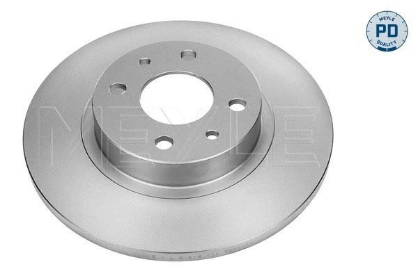 Brake Disc (215 521 2002/PD)