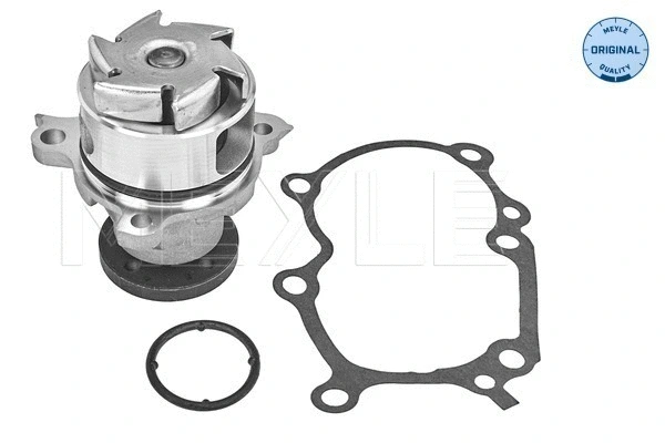 Water Pump, engine cooling (39-13 220 0005)