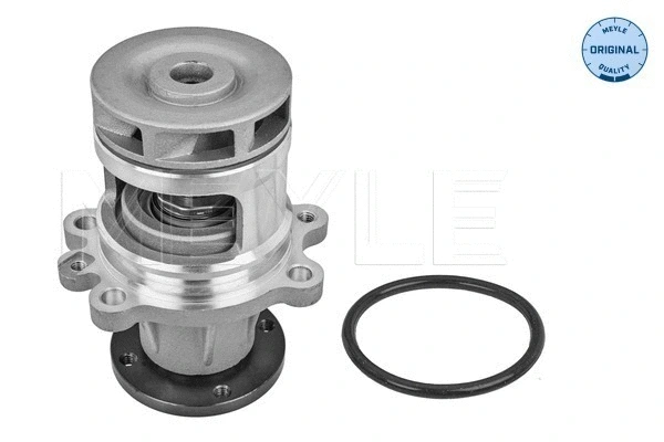 Water Pump, engine cooling (313 011 2900)