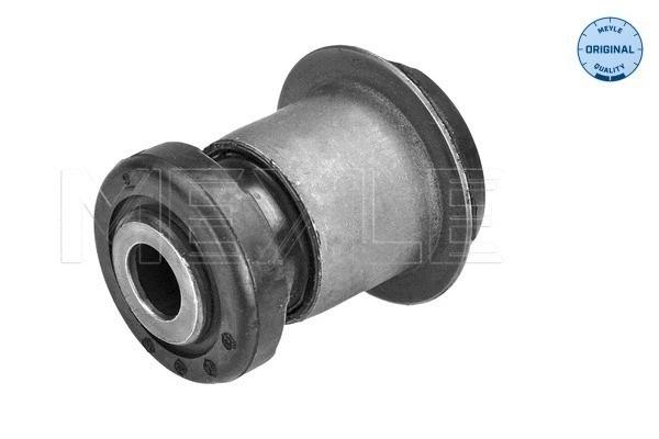 Mounting, control/trailing arm
