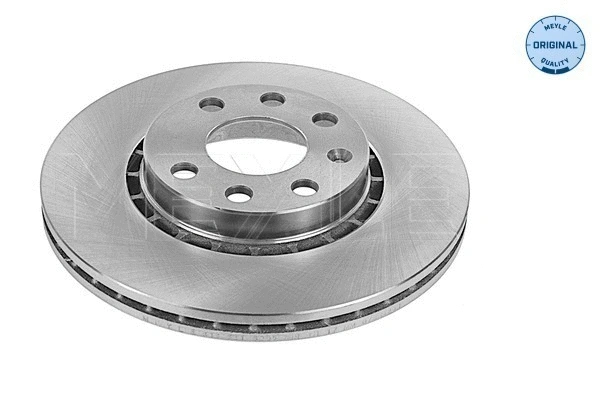 Brake Disc (615 521 6005)