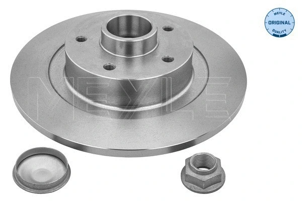Brake Disc (16-15 523 4110)