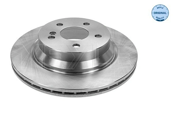 Brake Disc (015 523 0038)