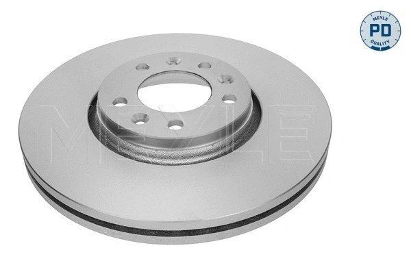 Brake Disc (215 521 0024/PD)