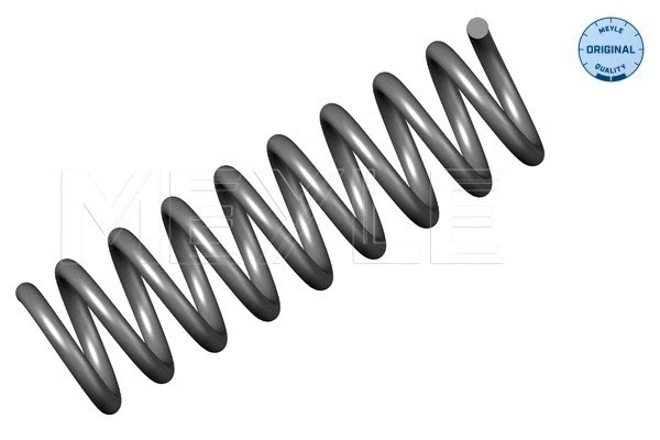 Suspension Spring (014 032 0494)