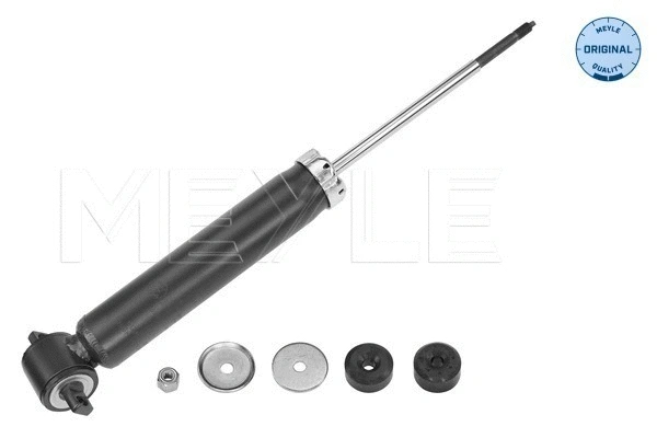Shock Absorber (026 725 0001)