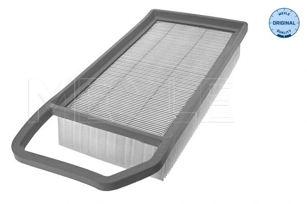 Air Filter (11-12 321 0004)