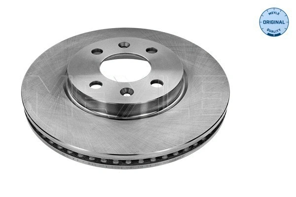 Brake Disc (815 521 5001)