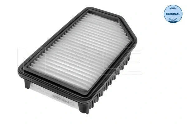 Air Filter (28-12 321 0013)