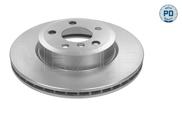 Brake Disc (383 521 3074/PD)