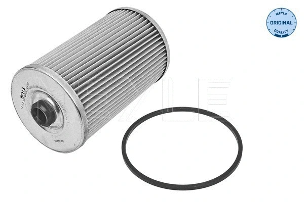 Fuel Filter (12-34 323 0006)
