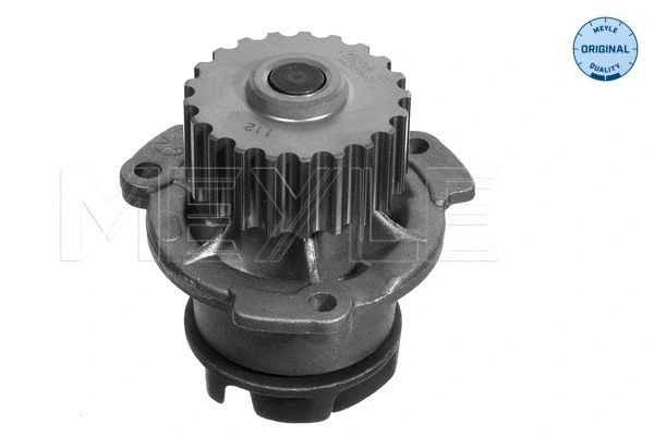 Water Pump, engine cooling (213 108 1307)
