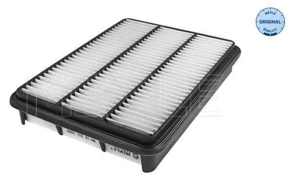 Air Filter (30-12 321 0029)