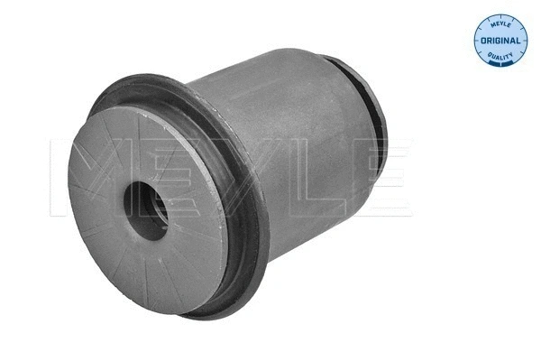 Mounting, control/trailing arm