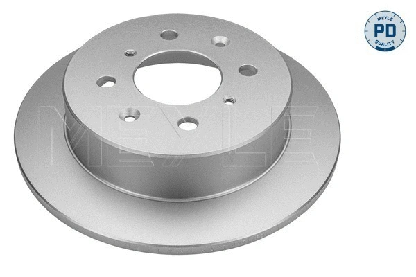 Brake Disc (31-15 523 0051/PD)